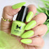 Moraze Cosmetics Premium Summer Nail Polish Kit