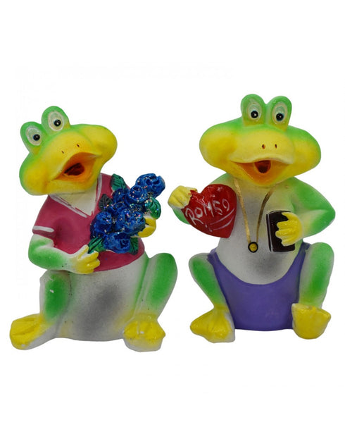 Rainbow Art Gallery Frog Fair