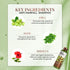 Just Herbs Ayurvedic Anti Hair Fall Kit( Shampoo200ml,Conditioner 200ml, Oil 100ml)