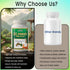 Jeena Sikho GBS Powder Ayurvedic Gut Digestion and Acidity Support