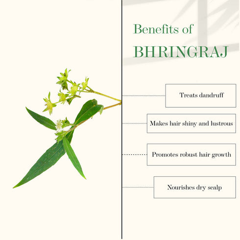 Good Vibes Amla & Bhringraj Strengthening Hair Oil 100ml