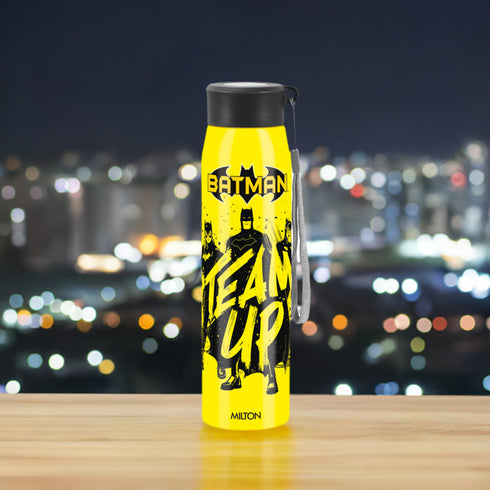 Milton Handy 3D Design Looney Tunes Stainless Steel Bottle