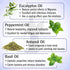 Keya Seth Aromatherapy Graine Out-Migraine Therapeutic Essential Oil Blend of Aniseed & Neroli