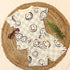 Bachpan kids wear New born casual wear mint green colour set