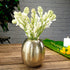 Behoma Oval Vase