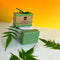 Honey Hut Neem Holy Basil Handmade Soap