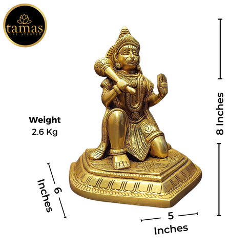 Tamas Brass Hanuman Ji Statue