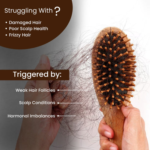 The Skin Story Ayurvedic Hair Shampoo