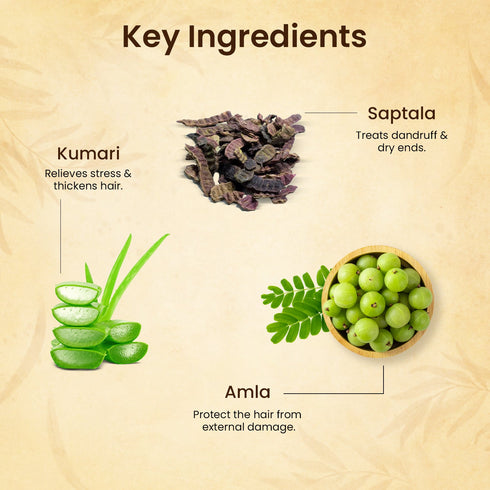 The Skin Story Ayurvedic Hair Conditioner