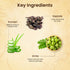 The Skin Story Ayurvedic Hair Conditioner