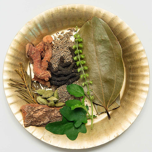 Isha Life Thuthuvalai Legium