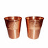 Coppjal Copper Water Bottle Gift Set