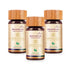 Biogetica Reginmune |Micro Nutrients- Immune Support
