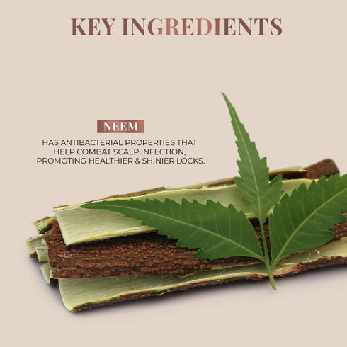 Just Herbs Handmade Wide-Tooth Neem Comb 35g
