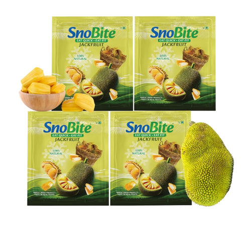 SnoBite Freeze-Dried Jackfruit Pouch