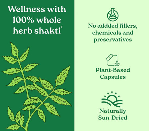 Organic India Neem Capsules