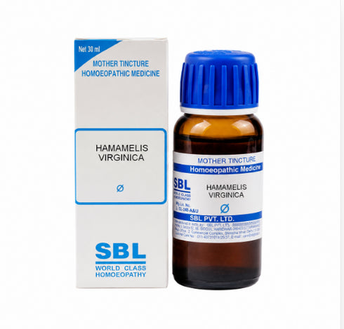 SBL Hamamelis Virginica Mother Tincture Q