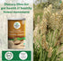 Organic India Whole Husk Psyllium bottle Powder