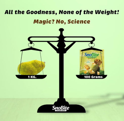 SnoBite Freeze-Dried Jackfruit Pouch