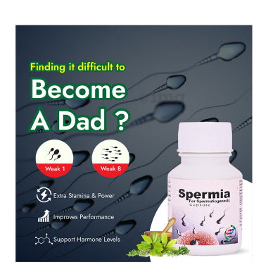 Hashmi Spermia for Spermatiogenesis