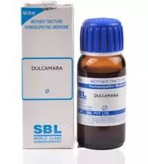 SBL Dulcamara Mother Tincture Q
