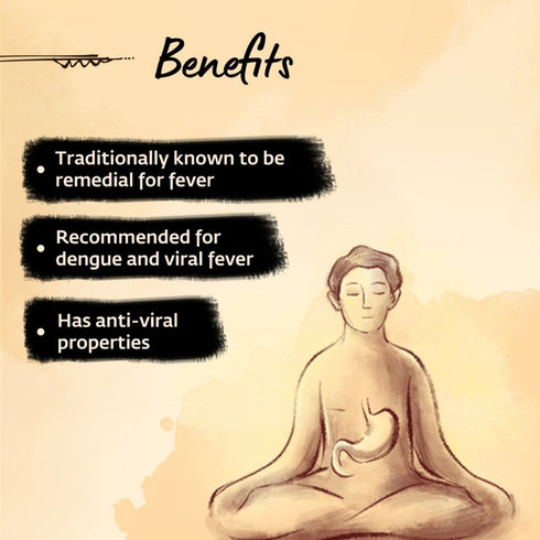 Isha Life Nilavembu Kudineer,50gm