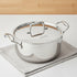 Vinod Doniv Titanium Triply Stainless Steel Sauce Pot with Cover 22 cms Capacity 4.00 Liter