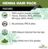 The Forest Herbs Henna Mix Powder