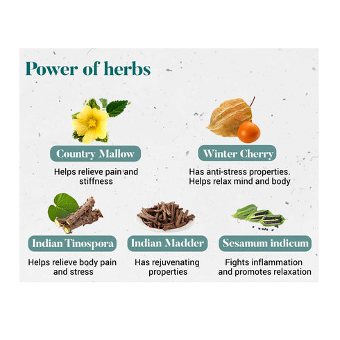 Himalaya Wellness Pure Herbs Stress Relief Oil 200ml