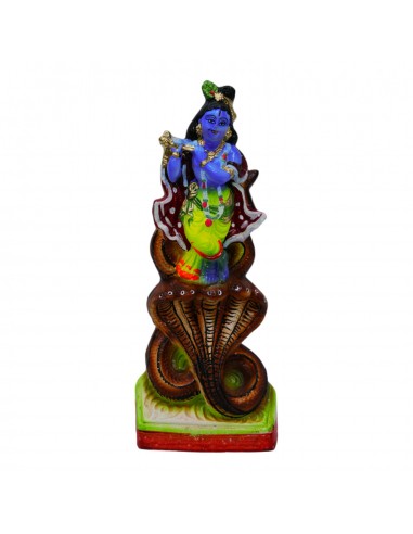 Rainbow Art Gallery Kaliya Daman