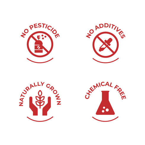 SAPTAMVEDA Premium Kutki (60 Capsules)