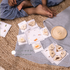 Ariro Toys Life Cycle Puzzle - Oviparous