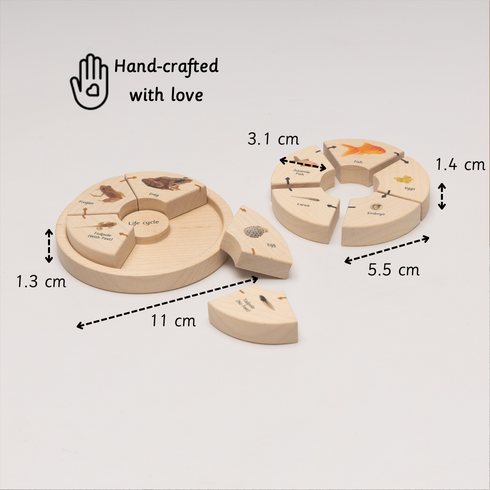 Ariro Toys Life Cycle Puzzle - Oviparous