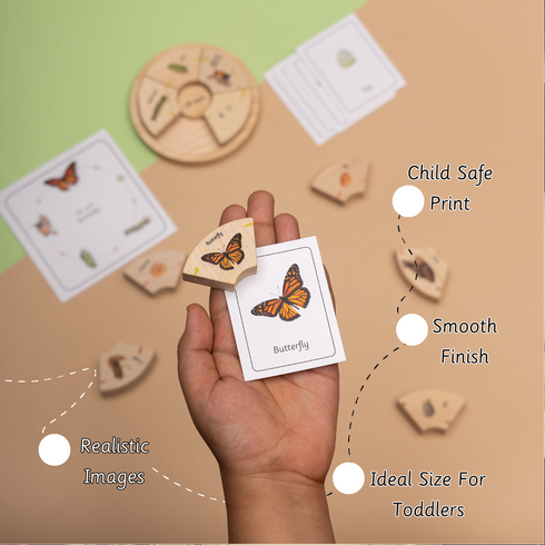 Ariro Toys Life Cycle Puzzle - Oviparous