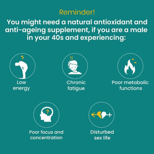 Charak Pharma Fortyfitt Tablets
