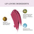 Lovetc Bold Bliss Etc Zero-Gravity Lip Creme