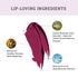 Lovetc Bold Bliss Etc Zero-Gravity Lip Creme