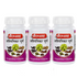 Baidyanath Avipattikar Churna box of 60 g Powder