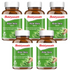 Baidyanath Aloe Vera Tablets 60 Tablets