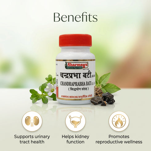 Sharmayu Ayurveda Chandraprabha Vati LSY