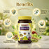 Sharmayu Ayurveda Chywan Life Sugar Free 1kg