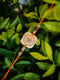 Bamboo India Bamboo India Handmade Bamboo Rakhi - Celebrate Raksha Bandhan