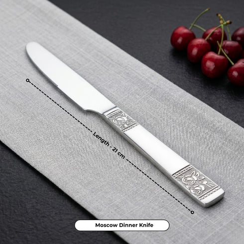 Vinod Stainless Steel Moscow Cutlery 21 piece set
