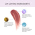 Lovetc Gloss Glee Etc High Glaze Lip Gloss