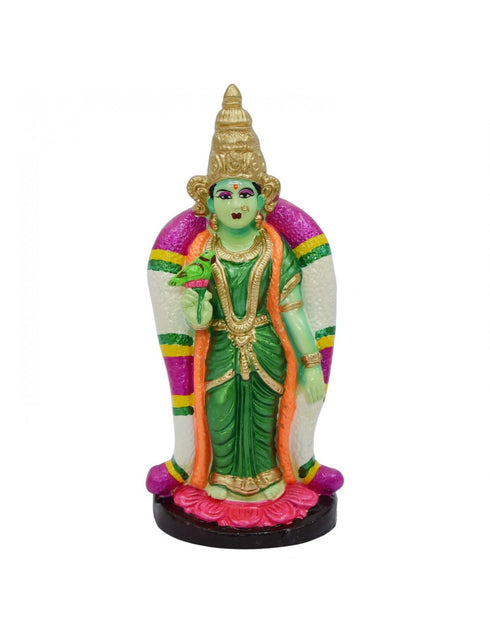 Rainbow Art Gallery Meenatchi