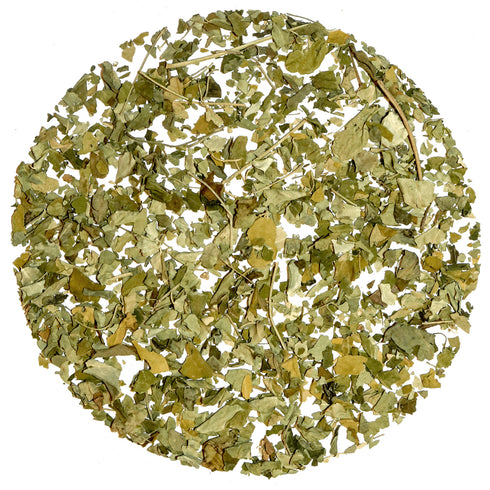Tea Raja - Moringa Leaf Tea