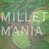 Millet Mania Moringa Powder