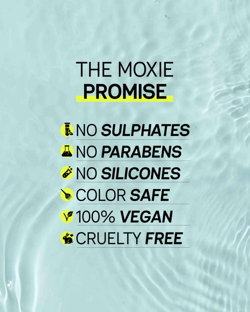 Moxie Beauty Ditch The Frizz Trio (3 Steps for Frizzy Hair)