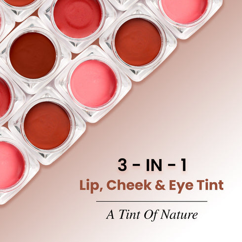 The Skin Story Lip & Cheek Tint Nostalgic Nude