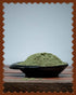 Kalagura Gampa Neem Powder